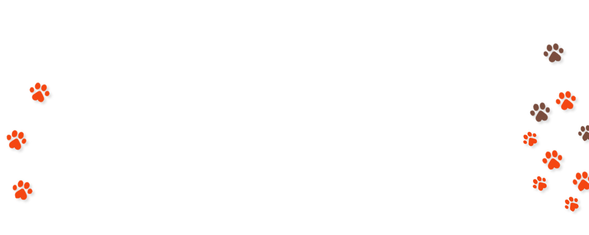 bt_bb_section_top_section_coverage_image